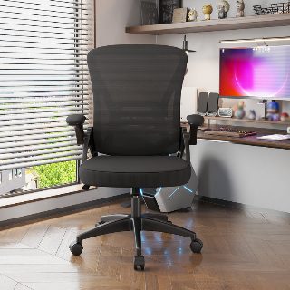Ergonomic Mesh Office Chair